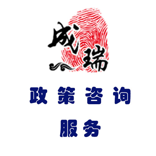 政策咨询服务(咨询服务)
